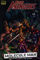 dark-avengers_vol2-hc_thb.JPG